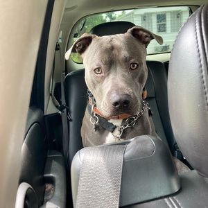 Meet your Posher, Robert